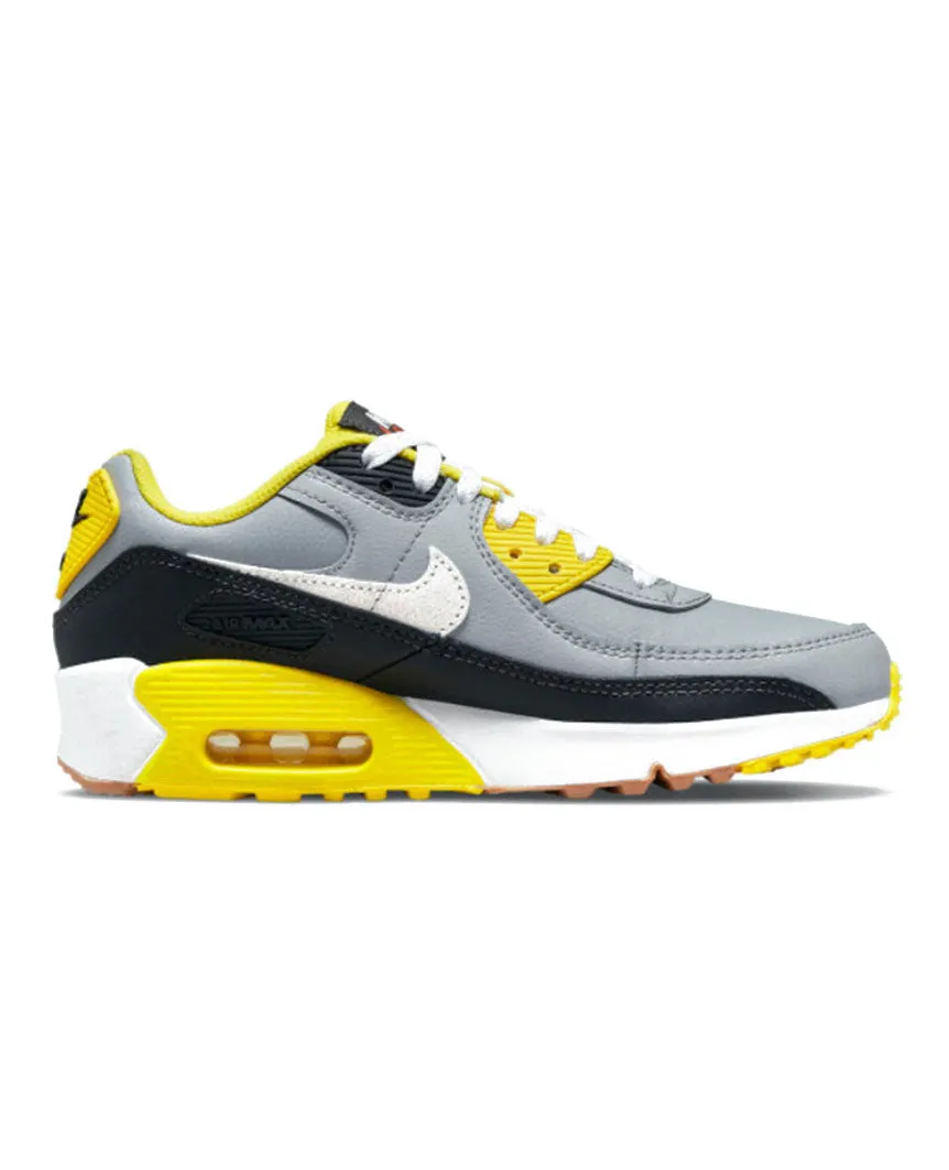 Air Max 90 LTR GS  "Go The Extra Smile" Wolf Grey