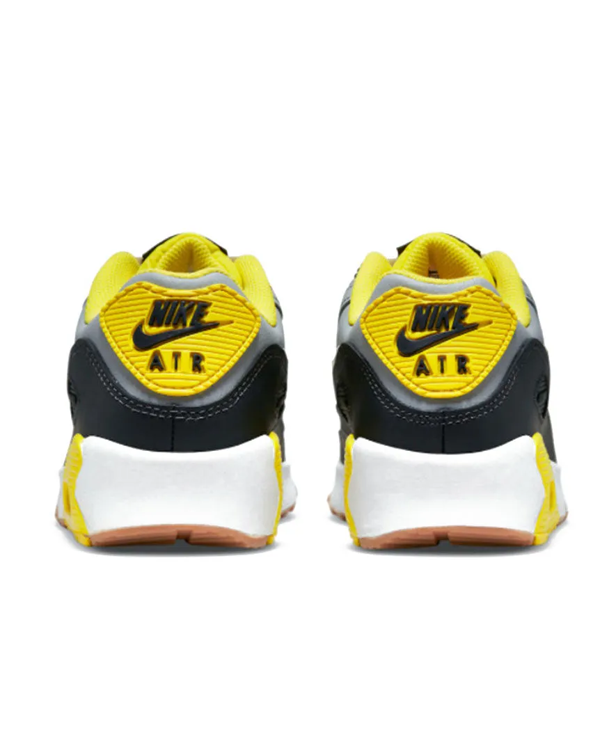 Air Max 90 LTR GS  "Go The Extra Smile" Wolf Grey