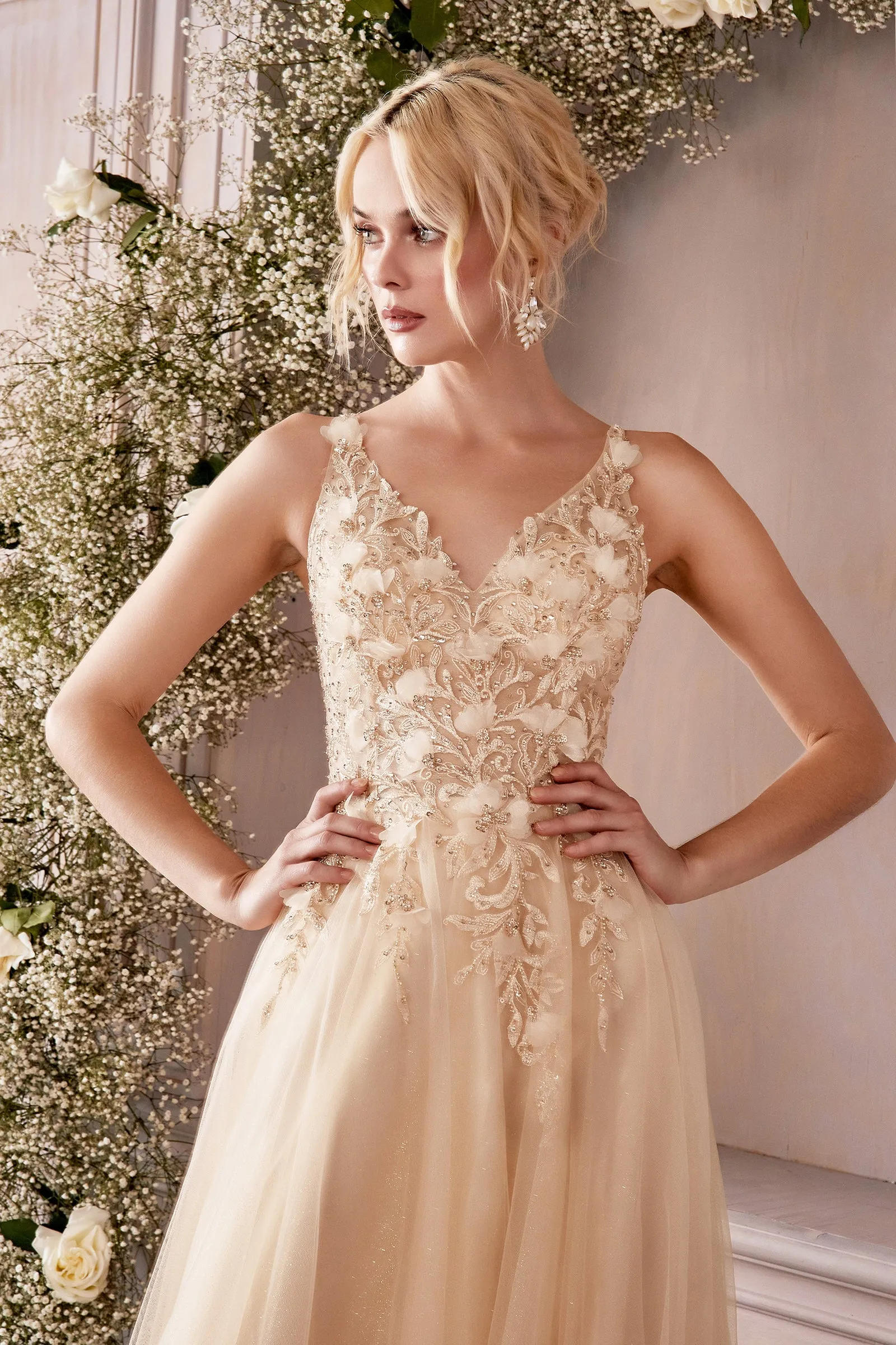 Cinderella Evening Dress CD0181