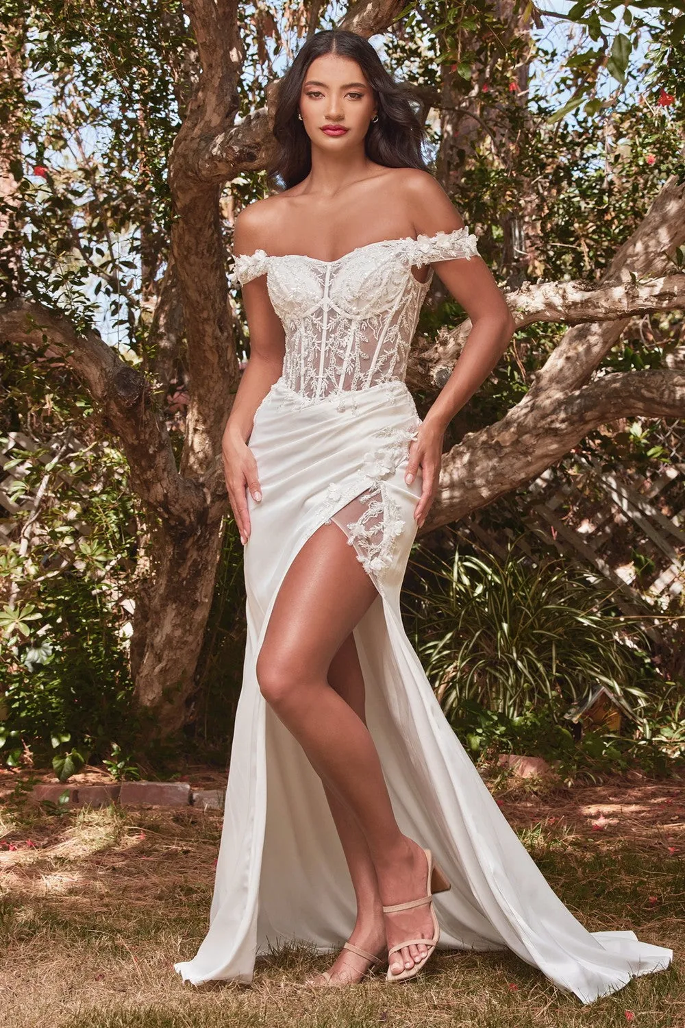 Cinderella Evening Dress CD0186W