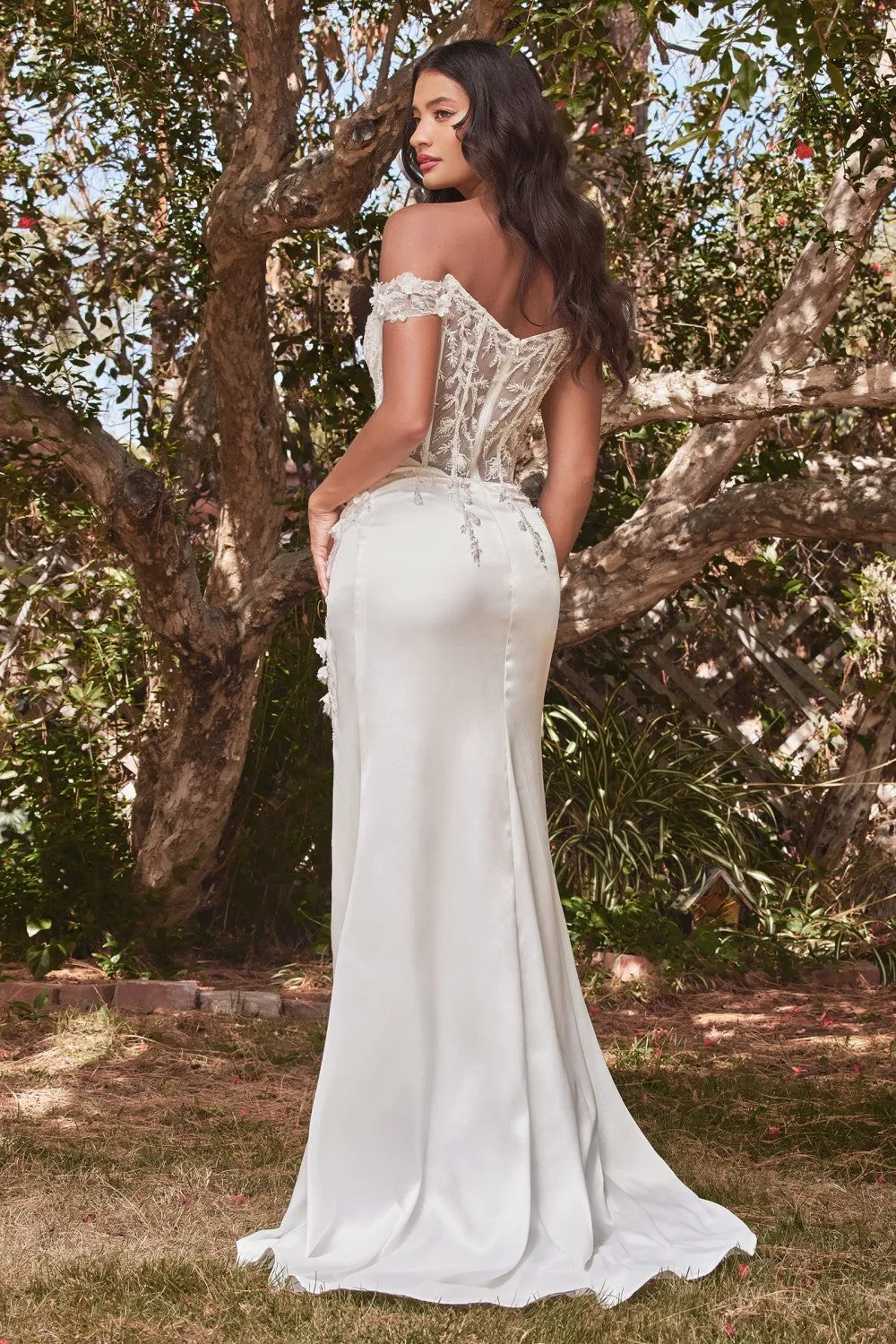 Cinderella Evening Dress CD0186W