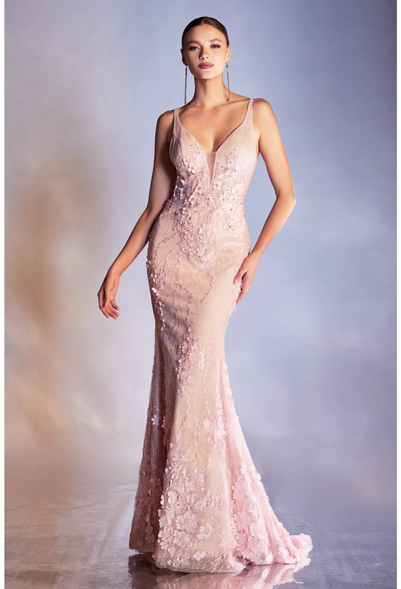 Cinderella Evening Dress CDS403