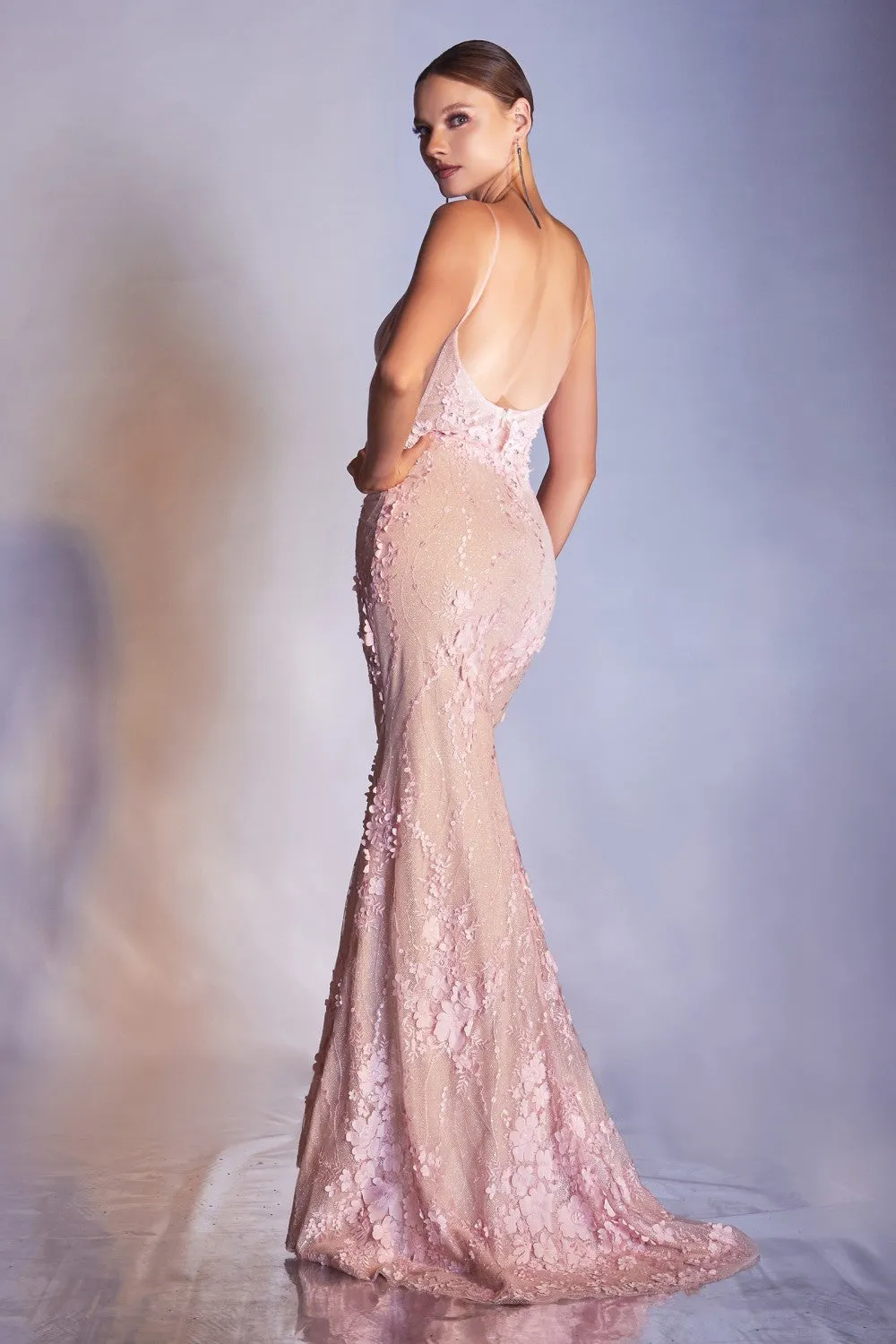 Cinderella Evening Dress CDS403