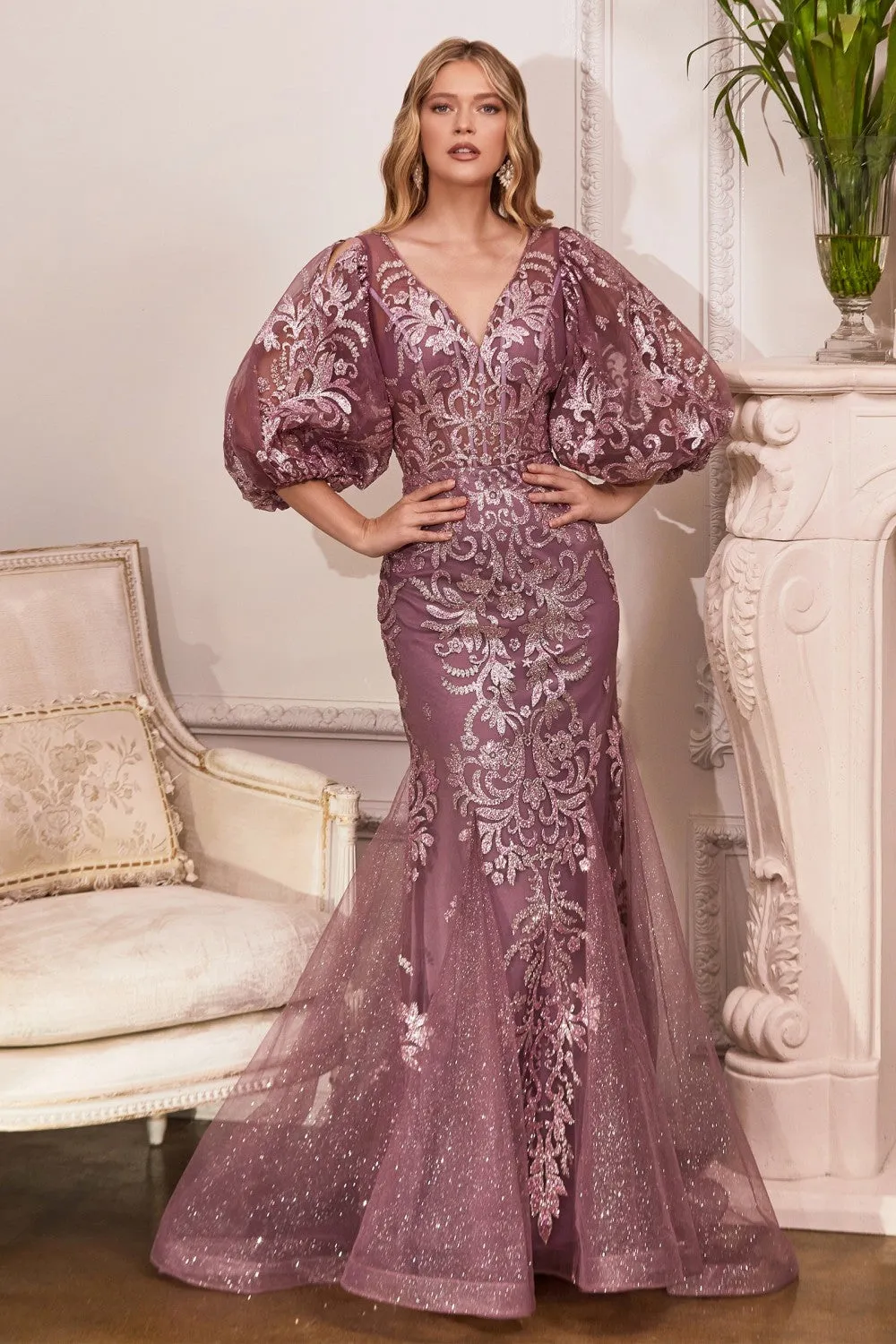 Cinderella Evening Dress OC009