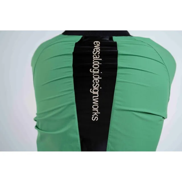 Color Block Backyard Sweatshirt