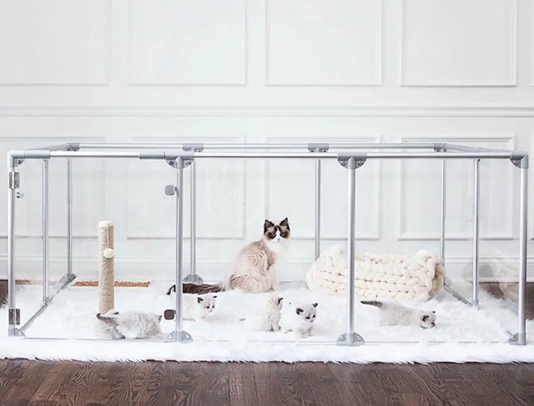 Crystal Clear Pet Pen