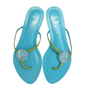 Dior Blue/Green Logo Sandals