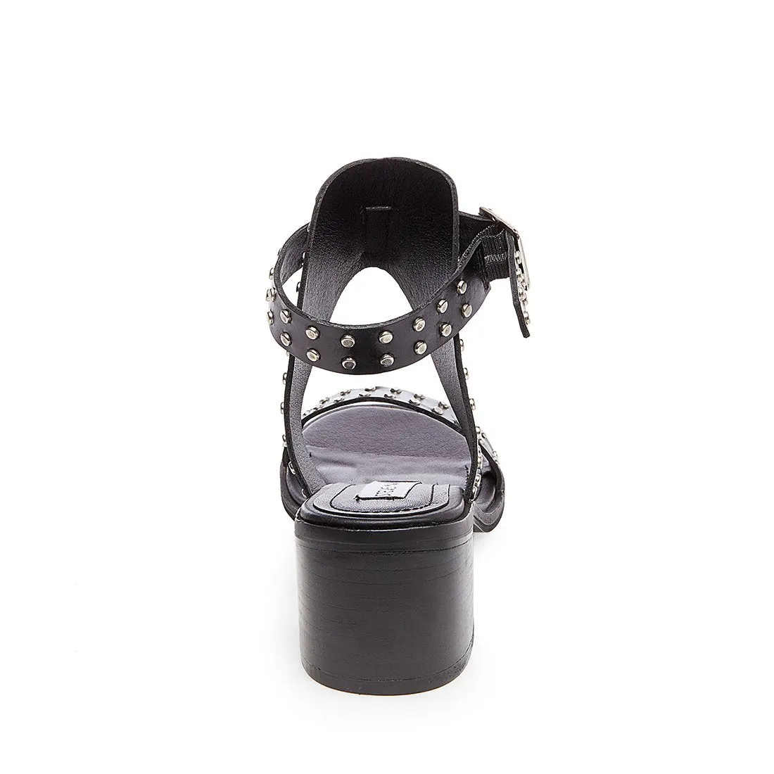 GILA BLACK MULTI - SM REBOOTED