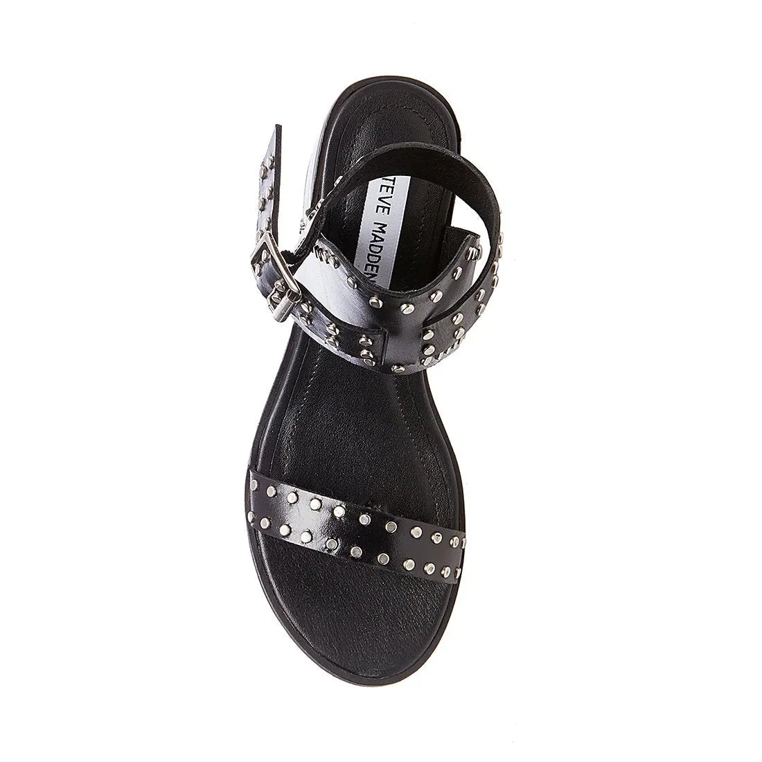 GILA BLACK MULTI - SM REBOOTED