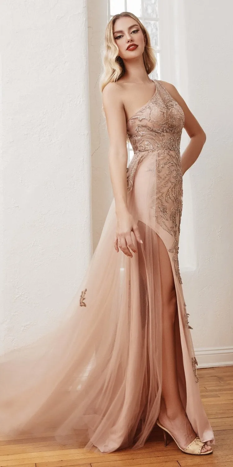 Ladivine CB098 One Shoulder Embellished Gown with Tulle Overskirt