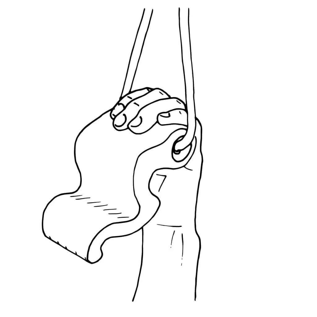 Maxgrip Hybrid