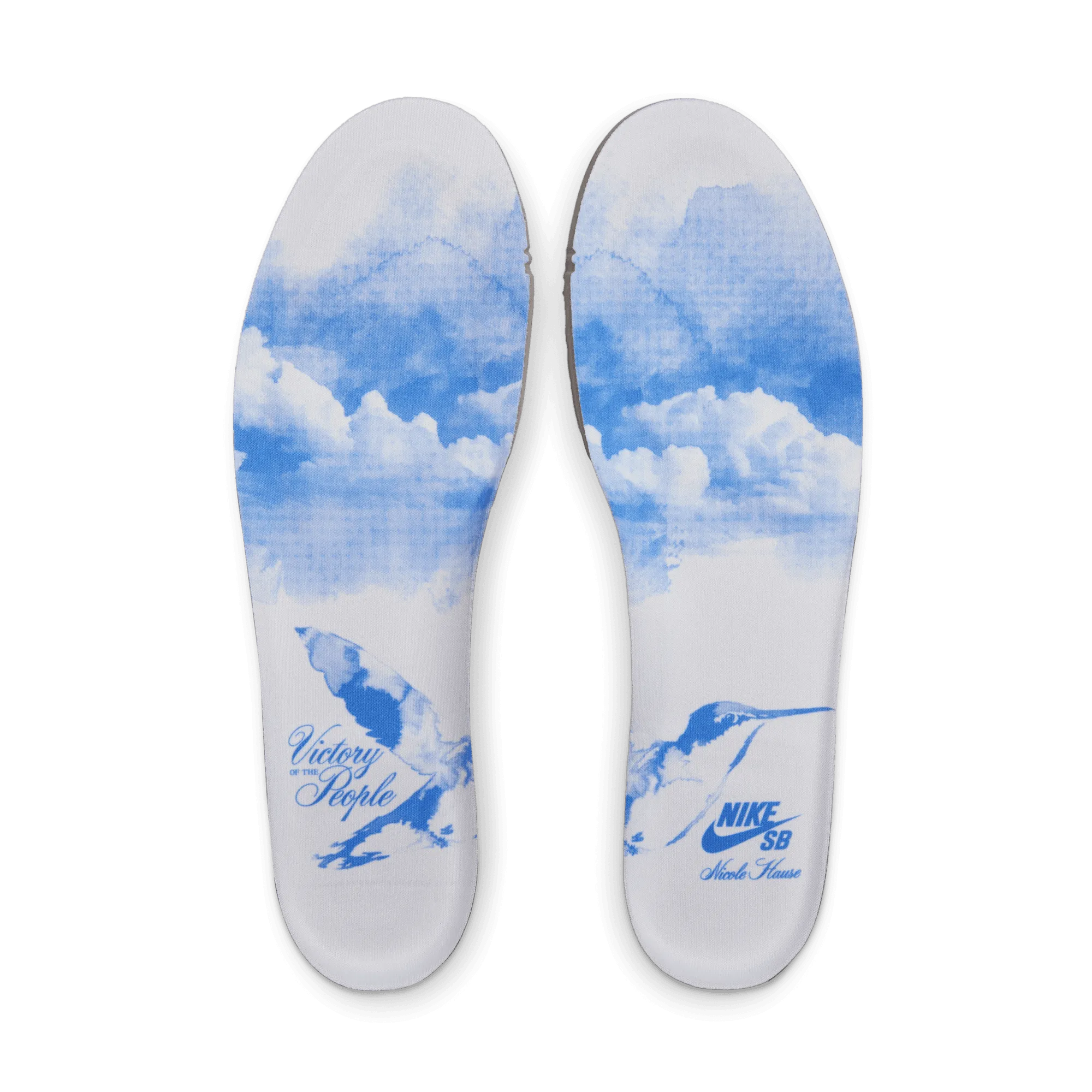 NIKE SB DUNK LOW PRO