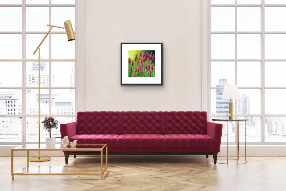 Peppermintstick Tulips Limited Edition Print