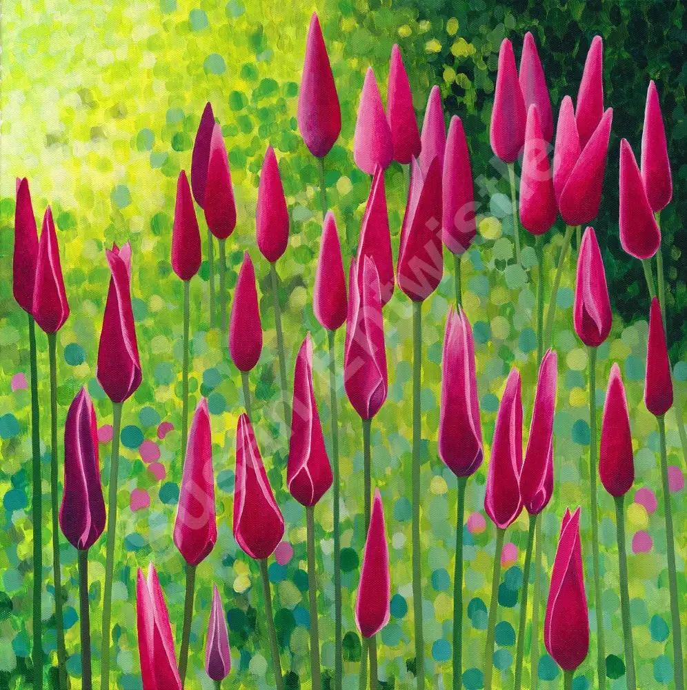 Peppermintstick Tulips Limited Edition Print