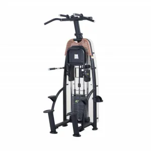 SportsArt N911 ASSISTED CHIN DIP