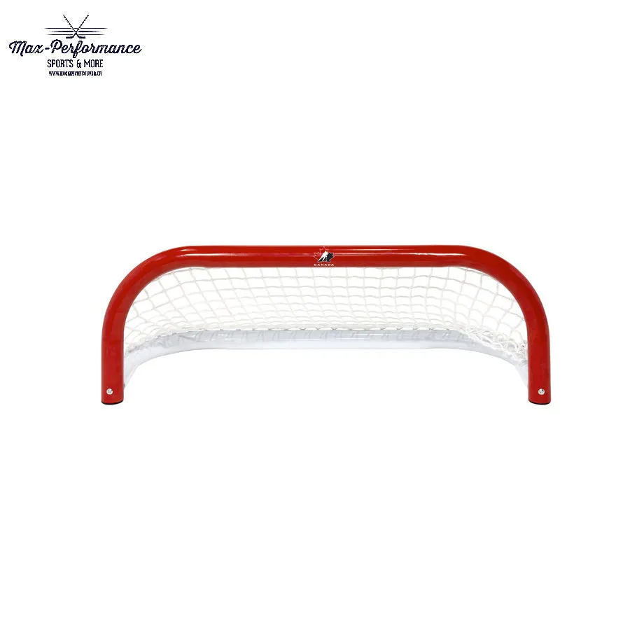 Winnwell Pond Hockey Net
